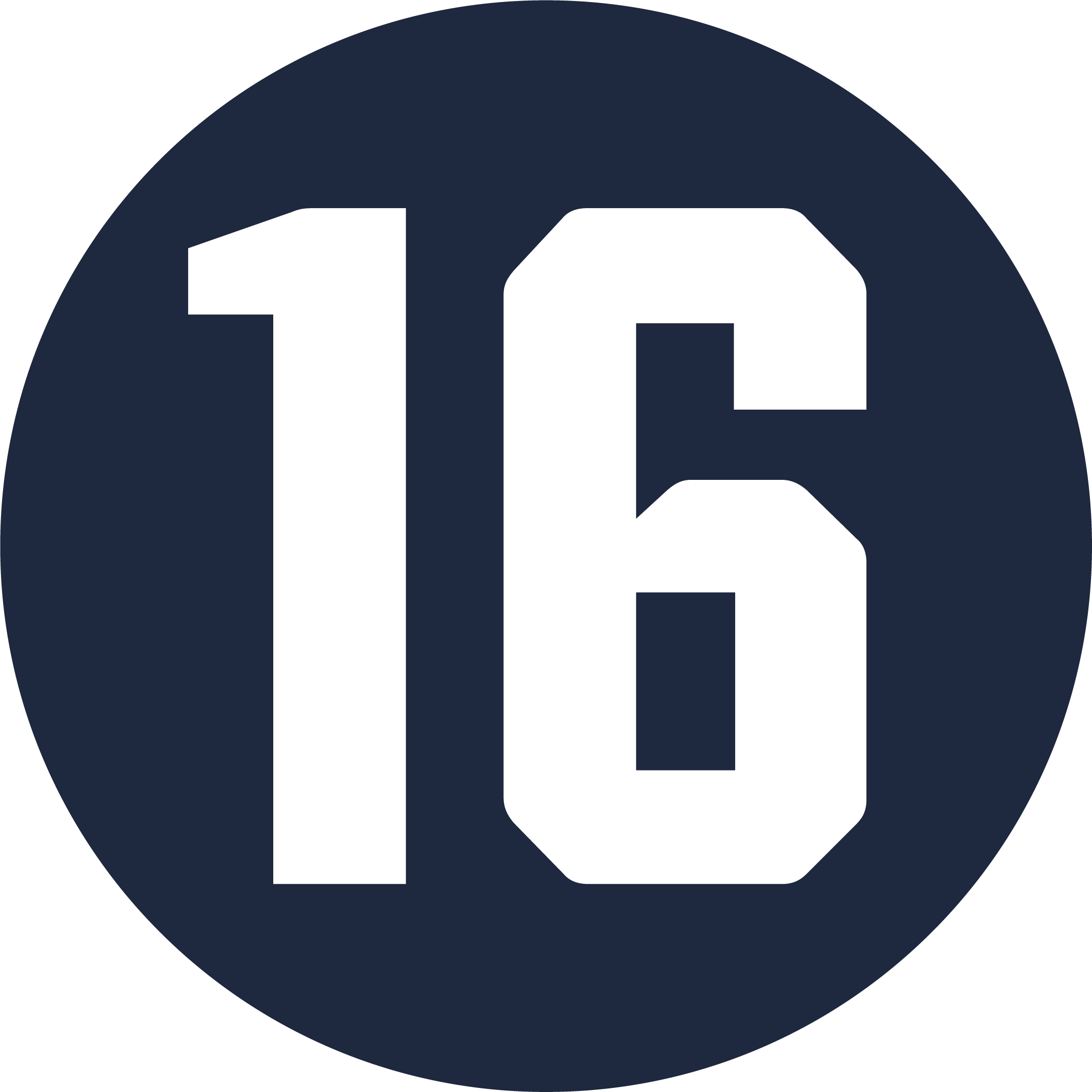kijkwijzer 16 jaar