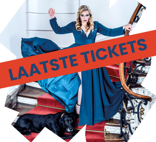 vorm-ameliealbrecht-laatstetickets